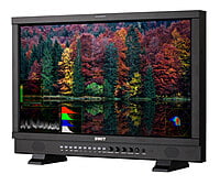 S-1243FS | 23.8" FHD Studio Monitor with full professional functions